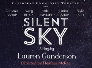 Silen Sky performance CCT usvi